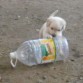 FATIGA JUGANDO CON UNA BOTELLA 